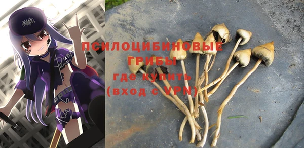 мдпв Баксан