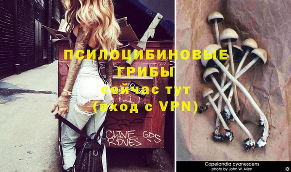 мдпв Баксан