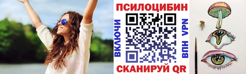 Псилоцибиновые грибы Cubensis shop телеграм Волосово